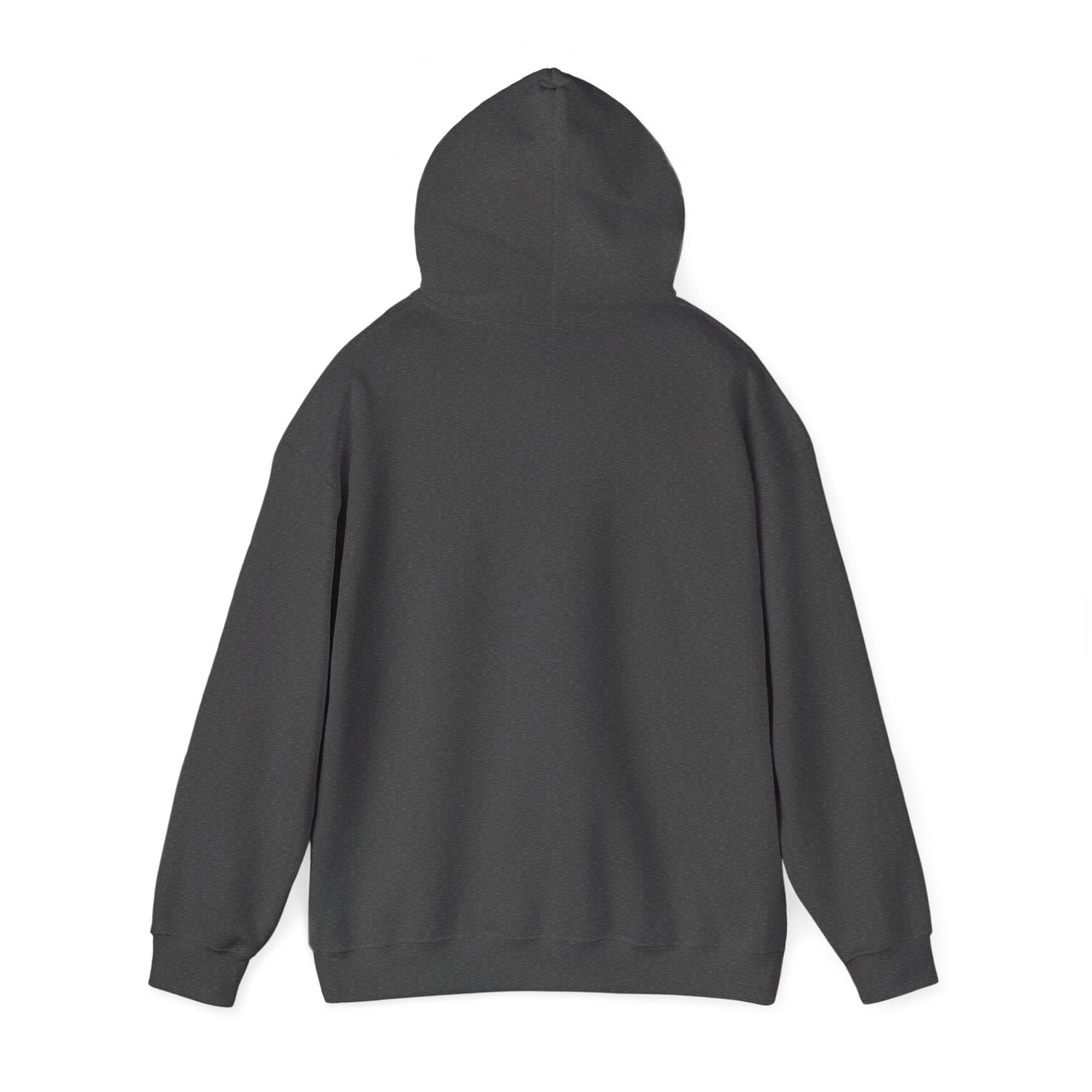 R3AL Hoodie — Minimal Streetwear Sweatshirt