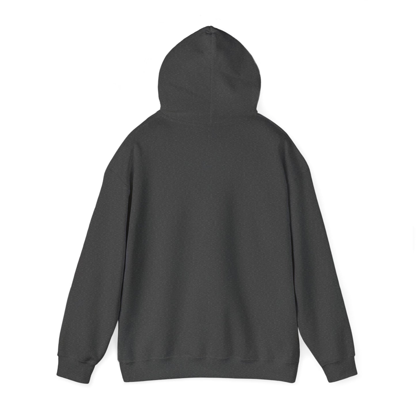 R3AL Hoodie (all colors)